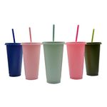 Plastic Cups,Tumblers with Lids Straws,Reusable Cup,Summer Coffee Tumblers Party Cup,Reusable Bulk Tumblers Plastic Cold Cups for Adults,24oz Tumbler(5PCS)