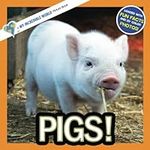 Pigs!: A My Incredible World Pictur