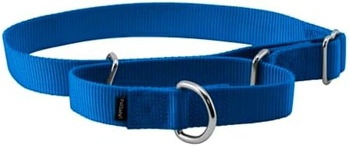 PetSafe Adjustable Martingale Collar - Only Tightens When Dogs Pull, Prevents Slipping Out - Helps with Strong Pullers, Increased Control - Alternative to Choke Collar - 1", Large, Royal Blue