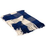 DII 100% Cotton Buffalo Check Throw for Indoor/Outdoor Use Camping BBQ's Beaches Everyday Blanket - 50 x 60, Navy & Cream