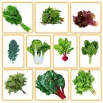THE INDIAN BEEJ - Green Leafy Vegetable seeds|10 Varieties | Home Garden| Perfect for Home Gardening| Planting For Pots and Patio |5000 +Seeds| Best Germination|Combo Pack
