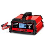 LVYUAN 12V 20amp Battery Charger