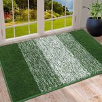 Vaukki Indoor Doormat Entryway Door Rug, Non Slip Absorbent Mud Trapper Mat Inside Floor Mat, Washable Small Door Carpet for Entryway (24''x36'', Green)