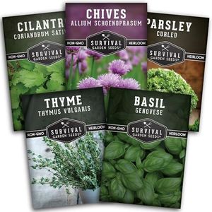 Survival Garden Seeds Culinary Herb Collection Seed Vault - Curly Parsley, Cilantro, Basil, Chives, Thyme - Non-GMO Heirloom Seeds for Planting - Grow Delicious Herbs Indoors or Outdoors