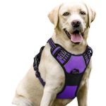 rabbitgoo Dog Harness Large Dog No Pull Pet Harness with 2 Leash Clips, Adjustable Soft Padded Pet Vest, Reflective No-Choke with Easy Control Handle for Training or Walking, Purple, L