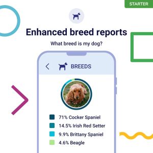 Koko Genetics Dog DNA Test Kit – Breed & Health Screening