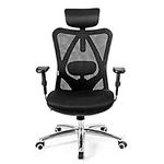 Giantex Ergonomic Office Chair, Mes