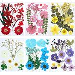 eBoot 72 Pcs Dried Pressed Flowers for Resin Molds Real Pressed Flowers Dry Leaves Bulk Natural Herbs Kit for Scrapbooking DIY Art Crafts Jewelry Molds Candle Soap Making Nails Decor(Elegant Style)