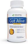 Gut Alive 