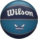 Wilson NBA Team Tribute Charlotte Hornets Basketball, Size 7