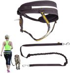 Dingo Multifunctional Running Belt and Dog Lead with Two Carabiner Lead with Shock Absorber Black Canicross for Jogging with the Dog Dogtrekking, Skijöring Z30005