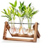 cfmour Plant Terrarium with Wooden Stand,Propagation Stations Glass Air Planter Desktop Metal Swivel Holder for Indoor Live Hydroponics Plants Office Home Garden Decor for Women(3 Bulb Vase)