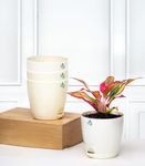 Nurturing Green® Combo of 4 Ivory Self Watering Small Plastic Pots for Plants | Plastic Flower Pots | Indoor Pots for Living Room (4.5 Inch Wide*4.33 Inch High) - [Plants are not Included]