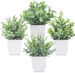 Der Rose 4 Pack Fake Plants Mini Ar