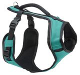 PetSafe® EasySport Harness, Small, Teal