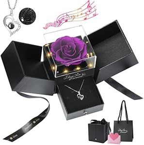 Emibele Collier en Argent Sterling S925 + Véritable Rose, Collier pour Femmes avec Lumière, Chaîne de Cou Romantique avec Pendentif de Je t'aime en 100 Langues en Forme de Cœur, Noir+Violet+Argent