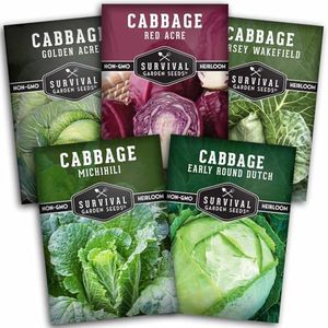 Survival Garden Seeds Cabbage Collection Seed Vault - 5 Non-GMO Heirloom Varieties - Red Acre, Golden Acres, Jersey Wakefield, Early Round Dutch & Michihili (Napa) - Plant & Grow Your Own Vegetables