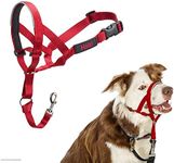 Halti Dog Training Headcollar, Red