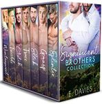 The Significant Brothers Collection