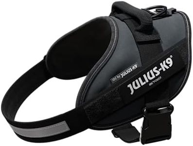 Julius-K9,