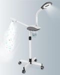 Kingsteam Professional Facial Steamer - Nano Water Mist, Face Steamer with 2 in1 Magnifying Light Arm, Popular wtih Eastheticians, Nano Water Mist, High Volume Steam, White