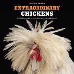 Extraordinary Chickens 2016 Wall Calendar: 16-month Calendar