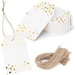 HAKACC 50PCS Gift Tags with String, Small Paper Tags Decorative Hanging Labels for Cupcake Tags Christmas Tree Tags Wish Tags Scrapbooks