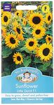 Mr Fothergill's 24272 Flower Seeds, Sunflower Little Dorrit F1, Yellow