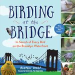 Birding at the Bridge: In Search of Every Bird on the Brooklyn Waterfront