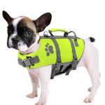 Queenmore XS Dog Life Jacket, Puppy Life Jackets for Small Dogs, Small Doggie Life Vest for Swimming, Lightweight Extra Small Dog Swim Vest with Handle, Puppy Life Vest for Boating, Cat Lifevest