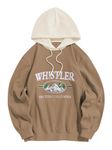 ZAFUL Men's Hooded Sweatshirt, Letter Mountain Graphic Embroidery Plush Fleece Casual Drawstring Pullover Hoodie, 0-khaki, Large