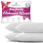 Deluxe Ever Pillows