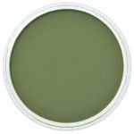 PanPastel Ultra Soft Artist Pastel, Chromium Oxide Green Shade