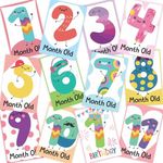 WOBBOX Baby Monthly Milestone Cards, Record 0-12 Months Growth Milestones Cards, Baby Shower Gift Scrapbook Photo Keepsake Monthly Age Markers Card (12 Pcs) (Design Three)