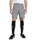 PUMA teamGOAL Shorts