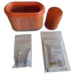 Generac 5721 Portable Maintenance Kit for 992cc Engines