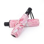 SY COMPACT Travel Umbrella Windproof Automatic Factory Direct High Cost-effective Umbrella