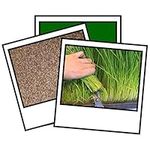 1Kg Barley Grass Seed Sprouting Juicing