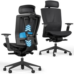 AUTONOMOUS ErgoChair Pro Black Mesh Ergonomic Office Chair For Back Pain Relief Adjustable Lumbar Support, Headrest, Big And Tall Home Office Desk Chair Comfy 300 LBS with Swivel Wheels For Long Hours