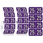 Teling 1000 Pieces 2025 Year Stickers File Folder Year Labels Rectangle Coded Colored Year Stickers Self Adhesive Year Label End Labels Office Supplies, 2 Roll, 3/4" x 1-1/2"(Purple)