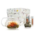 The Exotic Teapot - Flowering Tea Gift Set, Lotus Glass Teapot (400ml), 5 Bloom Sampler Tin of Flower Tea, Handmade Gift Box