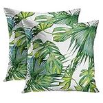 Emvency Set of 2 Throw Pillow Cover