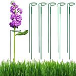 ecofynd 30 inches Metal Plant Stakes, Single Stem Flower Plant Support, Garden Plant Trellis for Outdoor Amaryllis Orchid Lily Rose Tomatoes (Green, Pack of 5)