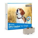 Gps Tile For Dog