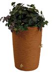 Good Ideas Imp-L50-TC Impressions Palm Rain Barrel, 50 Gallon, Terra Cotta