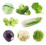 Indica Super Agri Green Winter exotic cruciferous vegetables Seeds Kit !! Cabbage, broccoli, Swiss Chard, Brussels, Chinese Cabbage, Red Cabbage, cauliflower, savoy cabbage - 8 packets- avg 40++ seeds