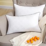 SASTTIE 12x20 Pillow Insert 2 Pack, Throw Pillow Decorative with Hypoallergenic Microfiber Fill, Rectangle Pillows Stuffer for Chair Support, Couch, Sofa, Living Room, Indoor Decor -12 x 20 Inch