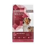 Holistic Dog Foods