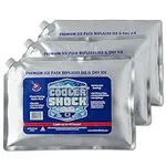 Cooler Shock Reusable Ice Packs for