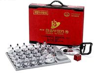 Hansol Medical Equipment Professional Cupping Therapy Equipment 30 Cups Set with Pumping Handle and Extension Tube & English Manual